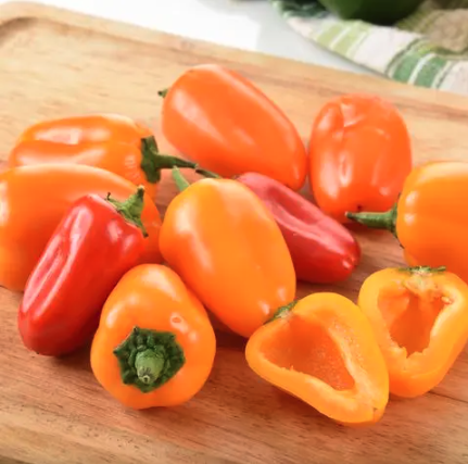 Vegetable Garden